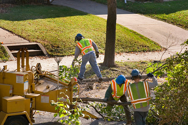 Best Seasonal Cleanup (Spring/Fall)  in Wayzata, MN